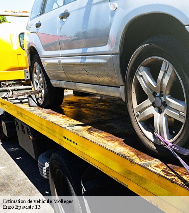 Estimation de vehicule  molleges-13940 Enzo Epaviste 13