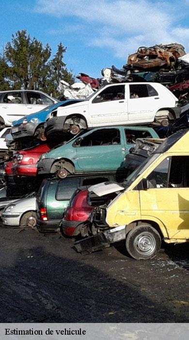 Estimation de vehicule  sausset-les-pins-13960 Enzo Epaviste 13